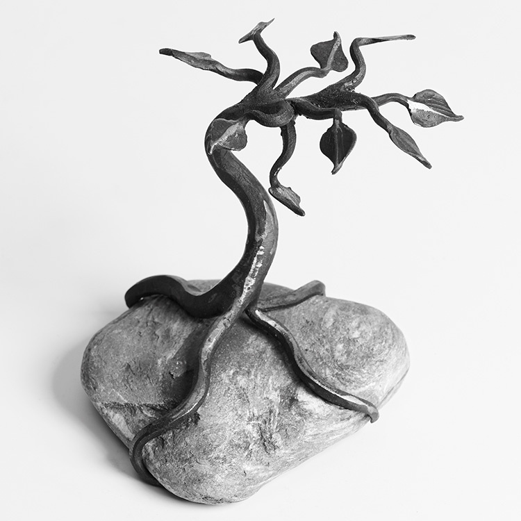 bonsai malá
